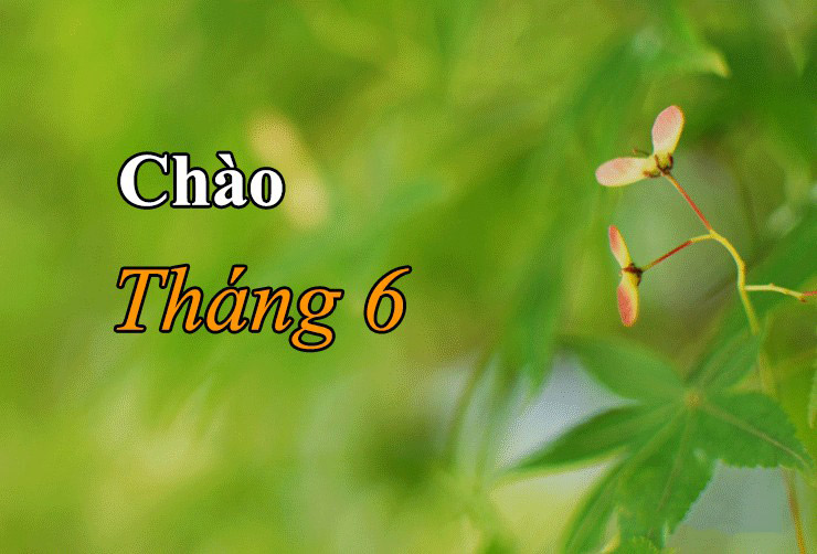 Hình ảnh chào tháng 6 đẹp nhất