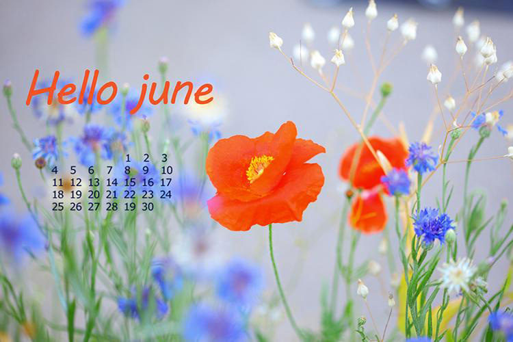 Ảnh xin chào tháng 6