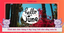 Hình ảnh chào tháng 6 đẹp lung linh như nắng mùa hạ