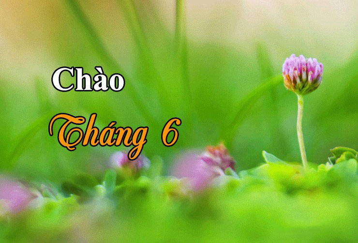 Ảnh xin chào tháng 6