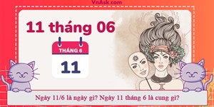 Ngày 11/6 là ngày gì? Ngày 11 tháng 6 là cung gì?