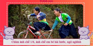 Chùm ảnh chế 1/6, ảnh chế em bé hài hước, ngộ nghĩnh