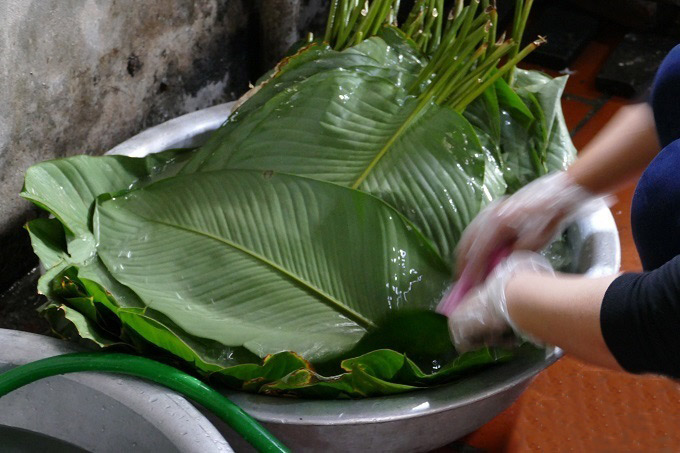 Rửa lá rong gói bánh gio