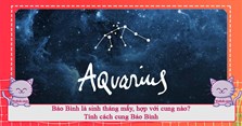 Bảo Bình là sinh tháng mấy, hợp với cung nào? Tính cách cung Bảo Bình