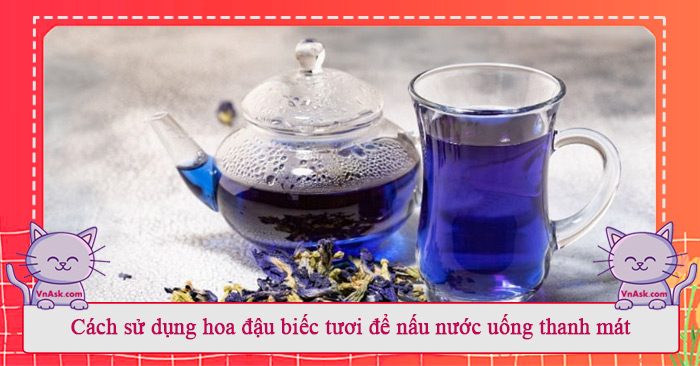 Tìm hiểu về nước hoa đậu biếc