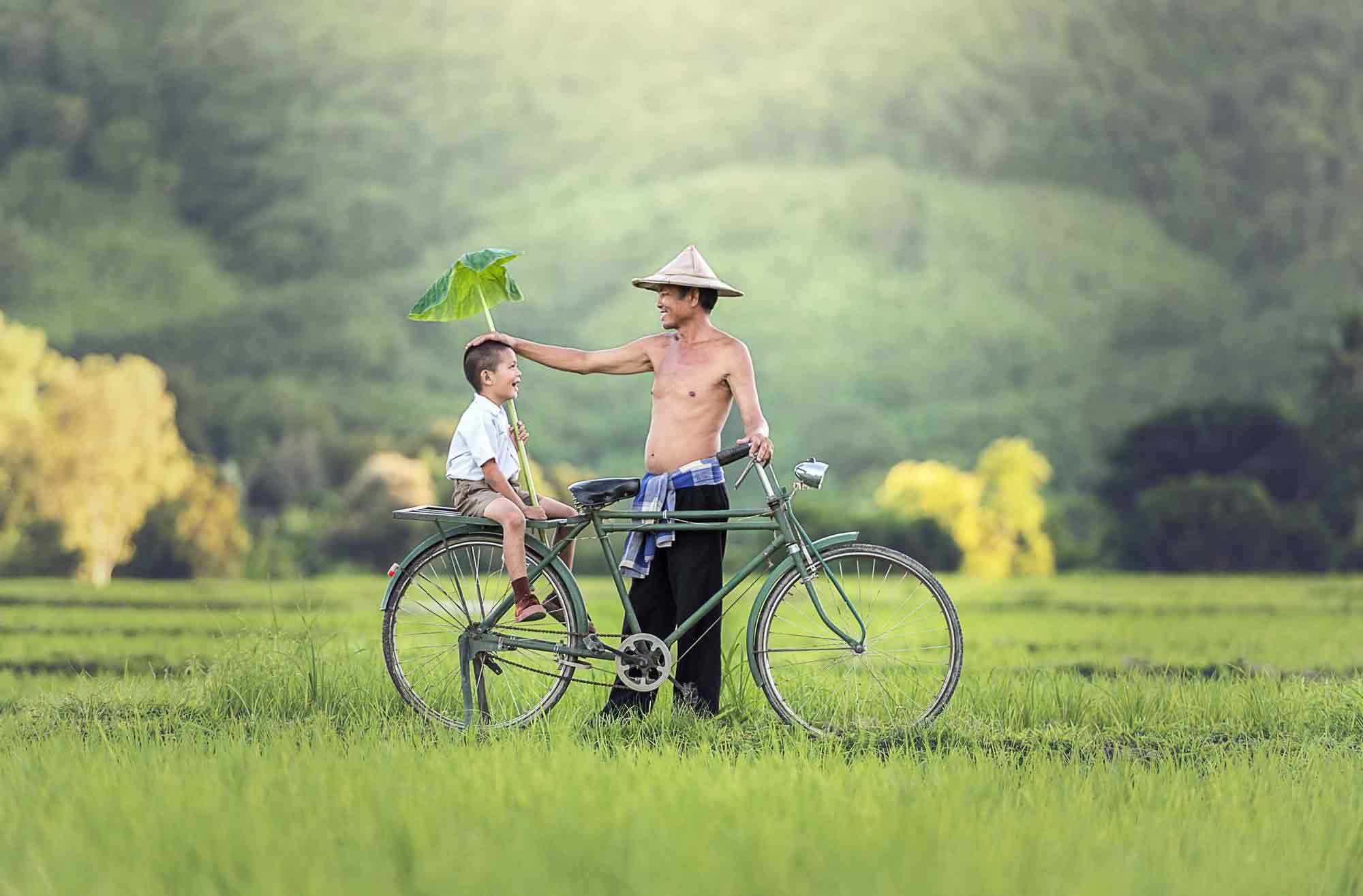 Thơ về cha Thơ về cha