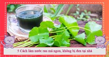 5 Cách làm nước rau má ngon, không bị đen tại nhà