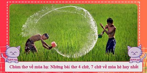 Chùm thơ về mùa hạ: Những bài thơ 4 chữ, 7 chữ về mùa hè hay nhất