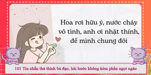 101 Tin nhắn thả thính bá đạo, hài hước không kém phần ngọt ngào