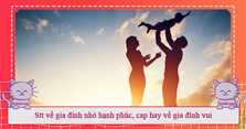 Stt về gia đình nhỏ hạnh phúc, cap hay về gia đình vui
