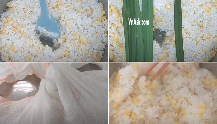 Hấp xôi bắp mỹ