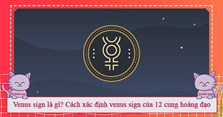 Venus sign là gì? Cách xác định Venus sign của 12 cung hoàng đạo