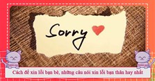 Cách để xin lỗi bạn bè, những câu nói xin lỗi bạn thân hay nhất