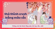 50+ câu thả thính bằng màu sắc hay, độc, chất