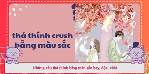 50+ câu thả thính bằng màu sắc hay, độc, chất