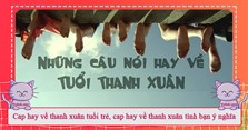 Cap hay về thanh xuân tuổi trẻ, cap hay về thanh xuân tình bạn ý nghĩa