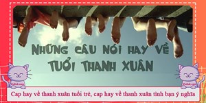 Cap hay về thanh xuân tuổi trẻ, cap hay về thanh xuân tình bạn ý nghĩa