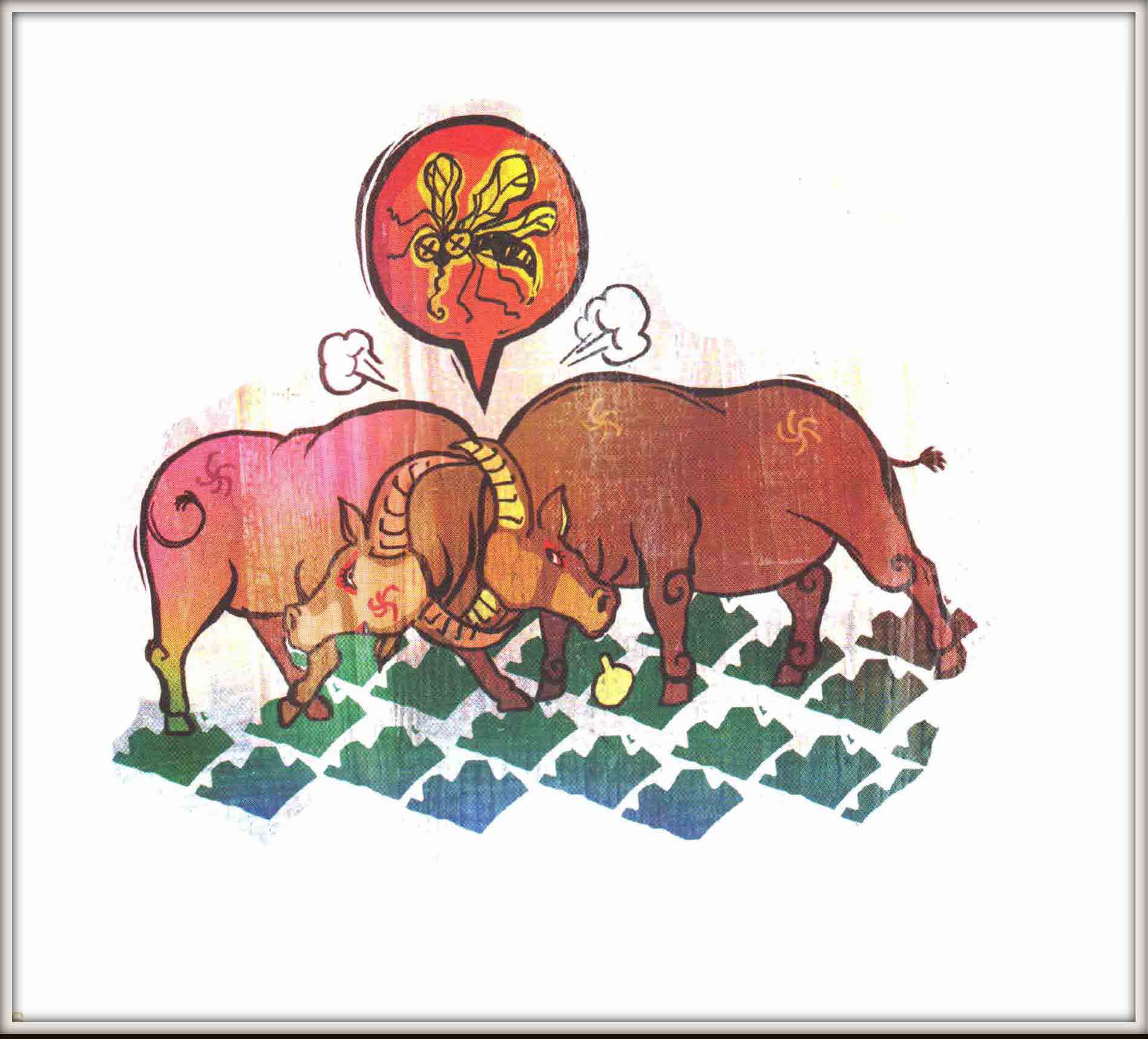 Trâu bò đánh nhau ruồi muỗi chết lây