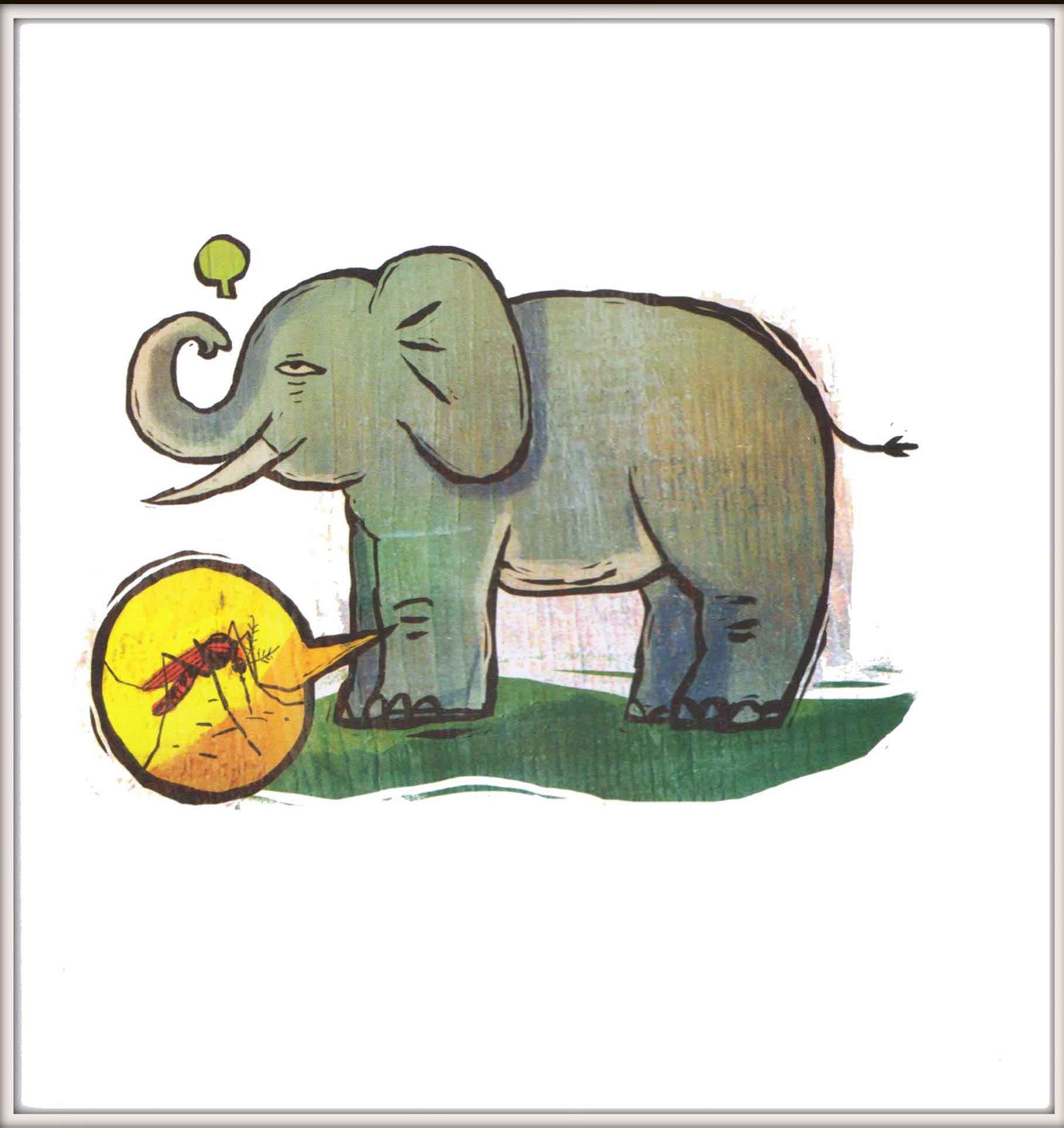 Muỗi đốt chân voi