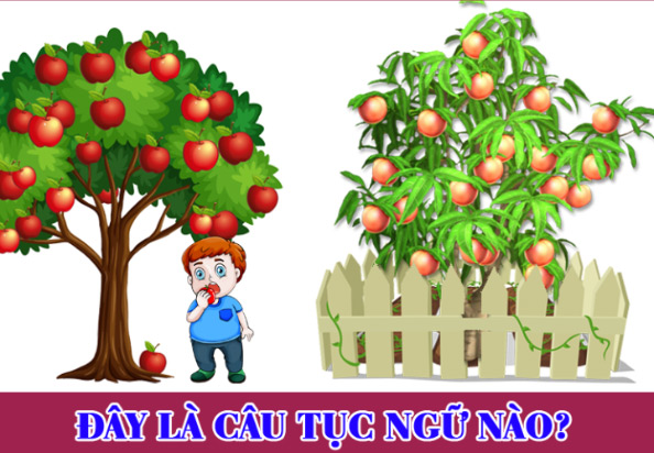 Ăn cây táo rào cây sung