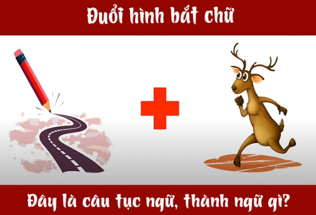 Vẽ đường cho hươu chạy