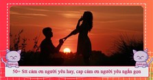 50+ Stt cảm ơn người yêu hay, cap cảm ơn người yêu ngắn gọn