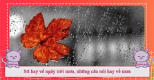 Stt hay về ngày trời mưa, những câu nói hay về mưa