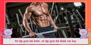 Stt tập gym hài hước, stt tập gym thả thính cực hay