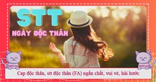 Cap độc thân, stt độc thân (FA) ngắn chất, vui vẻ, hài hước