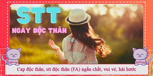 Cap độc thân, stt độc thân (FA) ngắn chất, vui vẻ, hài hước