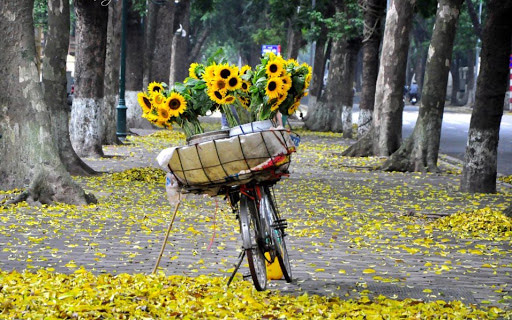 Tháng 8 chào Thu