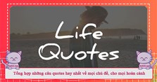 Tổng hợp những câu quotes hay nhất về mọi chủ đề, cho mọi hoàn cảnh