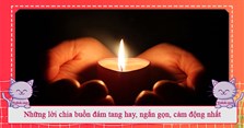 Những lời chia buồn đám tang hay, ngắn gọn, cảm động nhất