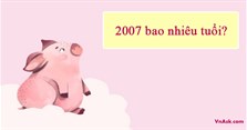 2007 bao nhiêu tuổi 2024? Bảng tính tuổi người sinh năm 2007