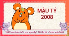 2008 bao nhiêu tuổi, học lớp mấy? Tất tần tật về năm sinh 2008
