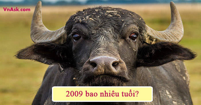 1 5 2009 bao nhiêu tuổi