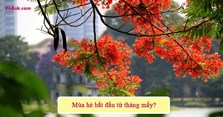Mùa hè bắt đầu từ tháng mấy? Mùa hạ thời tiết như thế nào?
