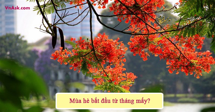 Mùa hè bắt đầu từ tháng mấy? Mùa hạ thời tiết như thế nào?