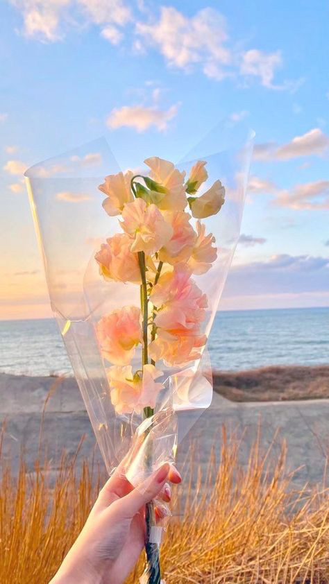 Hình ảnh đăng story đẹp