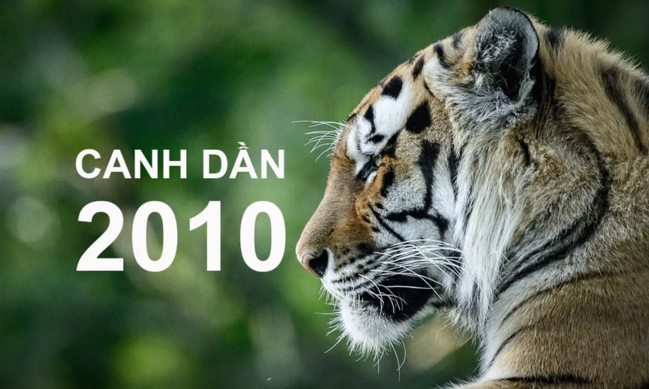 Tổng quan tử vi của người sinh năm 2010