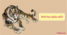 2010 bao nhiêu tuổi, học lớp mấy? Đặc điểm tuổi Dậu 2010