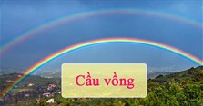 Cầu vồng là gì? Xuất hiện khi nào? 7 sắc cầu vồng gồm những màu gì?