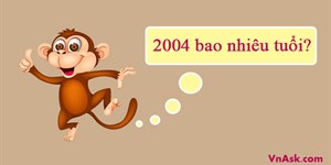 2004 năm nay bao nhiêu tuổi, học lớp mấy? Tìm hiểu về tuổi Thân 2004