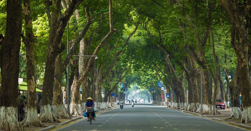 Những câu thơ, bài thơ ngắn hay về mùa thu