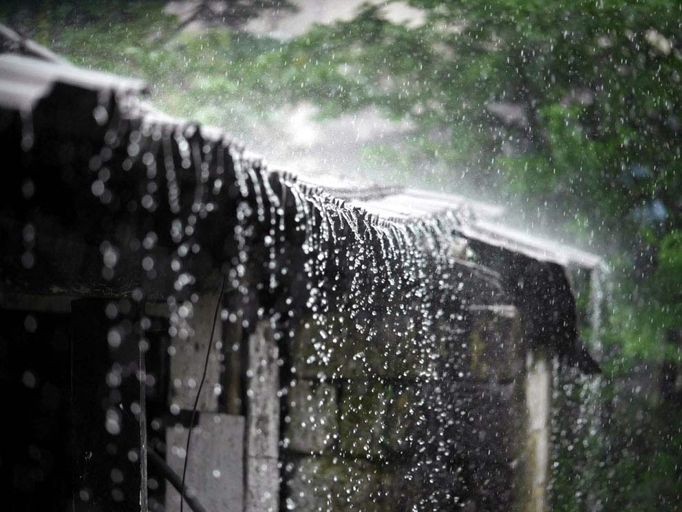 Mưa ngâu tháng 7