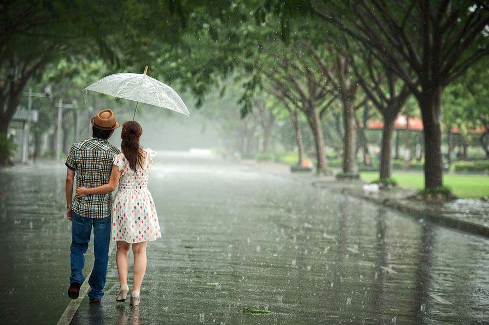Hình ảnh về mưa