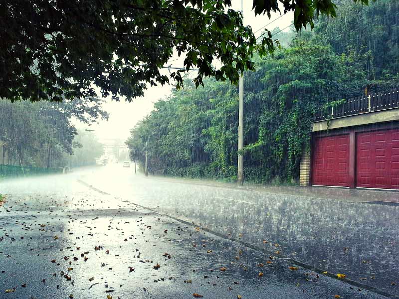 Ảnh mưa ngâu đẹp nhất