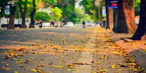 Mùa thu bắt đầu từ tháng mấy? Thời tiết mùa thu thế nào?