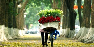 Stt thả thính mùa thu hay, những câu thả thính mùa thu lãng mạn