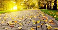 Stt hay về mùa thu, stt về mùa thu hài hước nhất